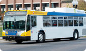 Hybrid electric bus