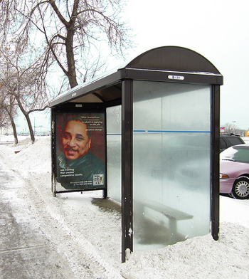 photo bus shelter not owned by metro transit
