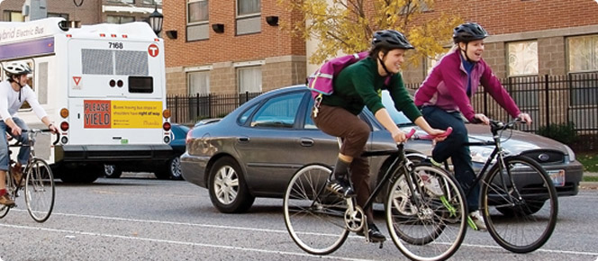 Bicyclists and Bus on Road