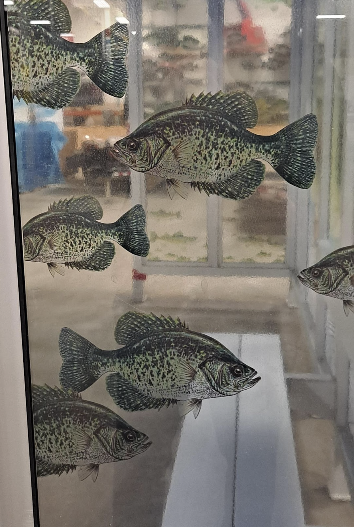 A group of fish in a tank, art for bus stop.