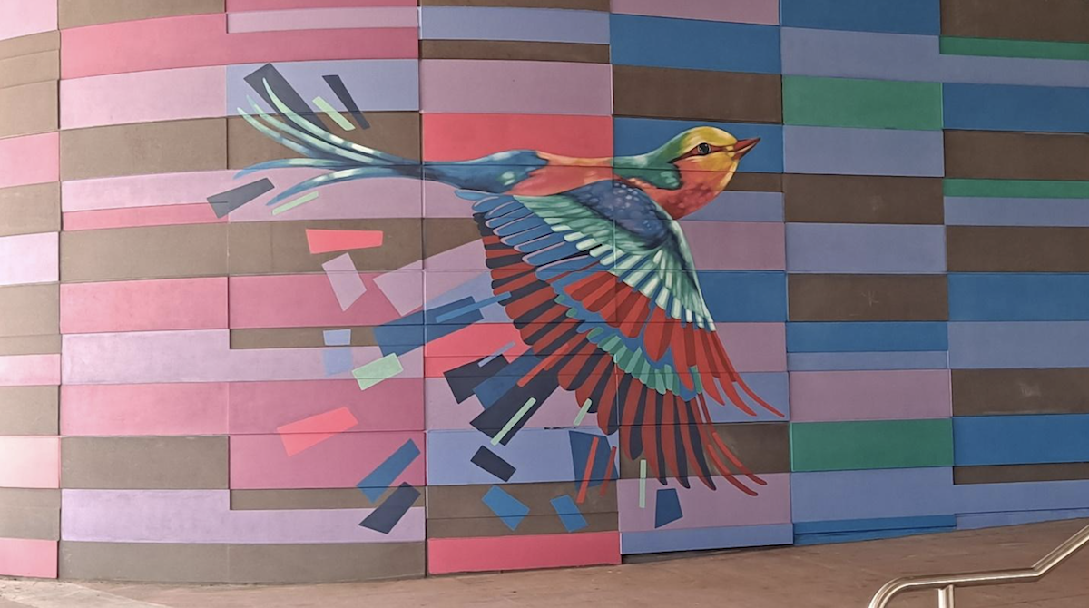 A colorful bird on a wall