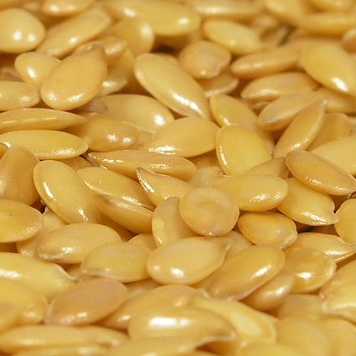 green_line_public_art_prospect_flax_seeds.jpg