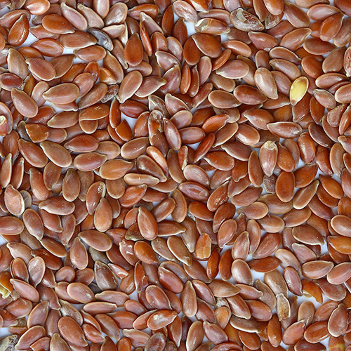 green_line_public_art_prospect_brown_flax_seeds.jpg