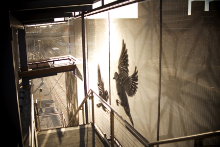 green-line-art-west-bank-station-3-sm.jpg