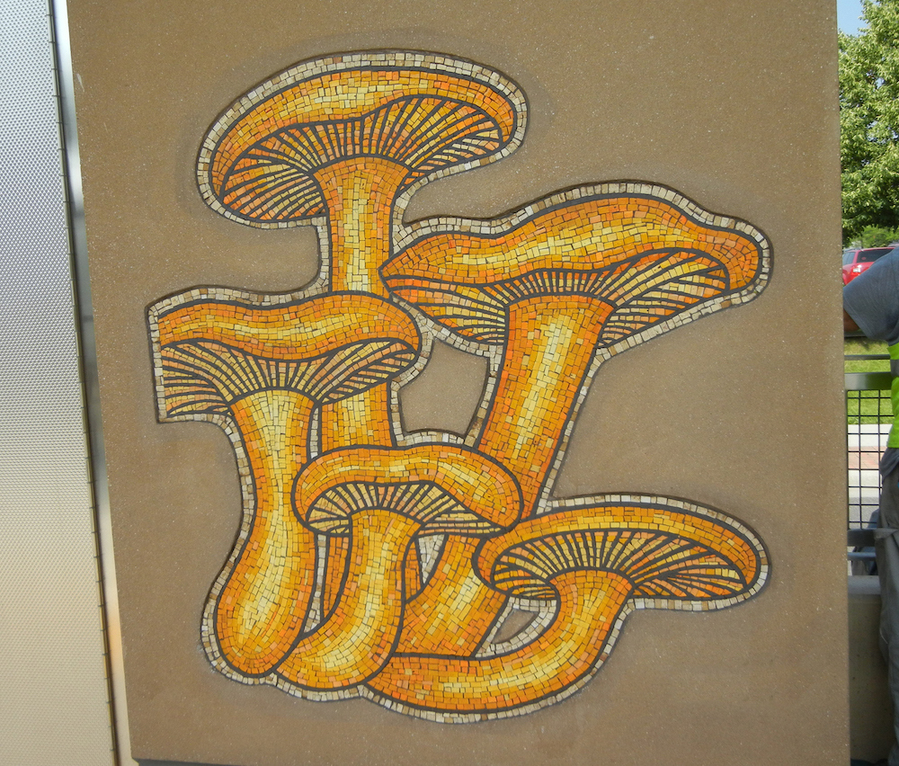 green_line_public_art_fairview_mushrooms.jpg