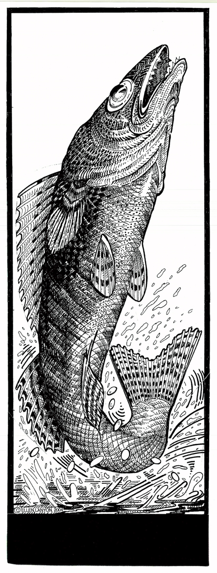 fac_public_blue_line_o_and_m_web-state-fish.jpg